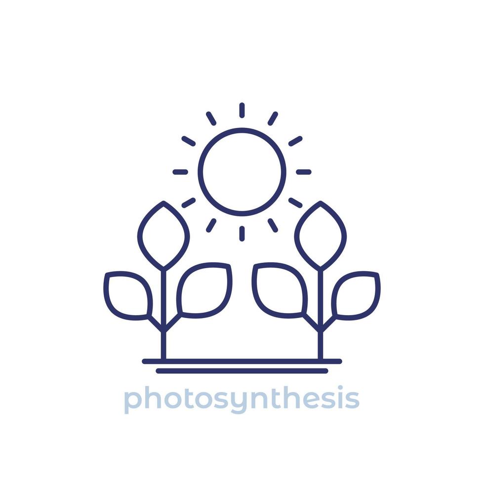 Photosynthese-Liniensymbol auf weiß vektor