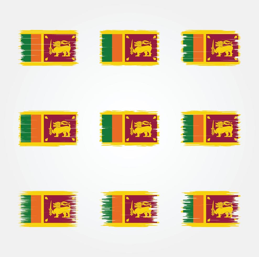 sri lanka flaggborste. National flagga vektor