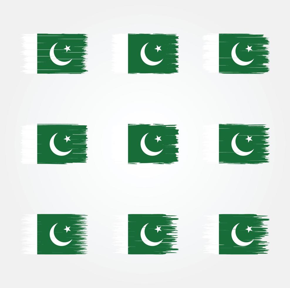 Pinsel mit pakistanischer Flagge. Nationalflagge vektor