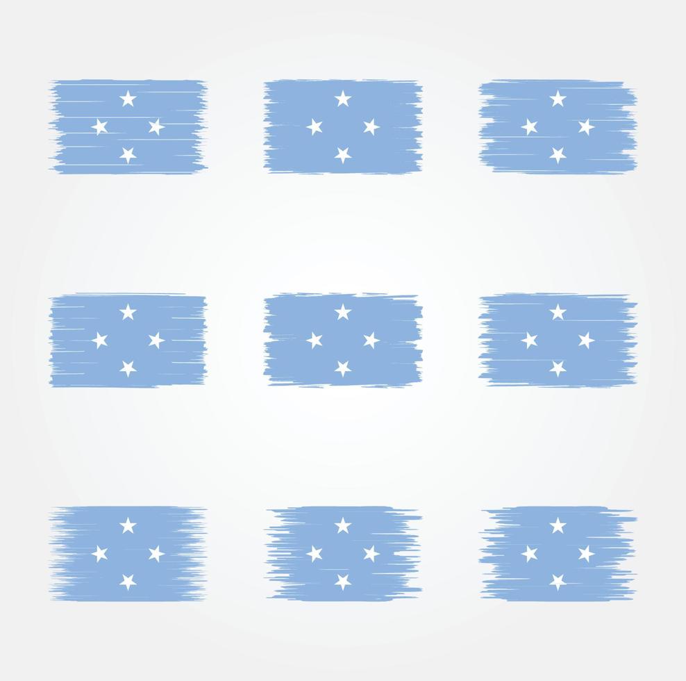 Mikronesien-Flagge-Pinsel. Nationalflagge vektor