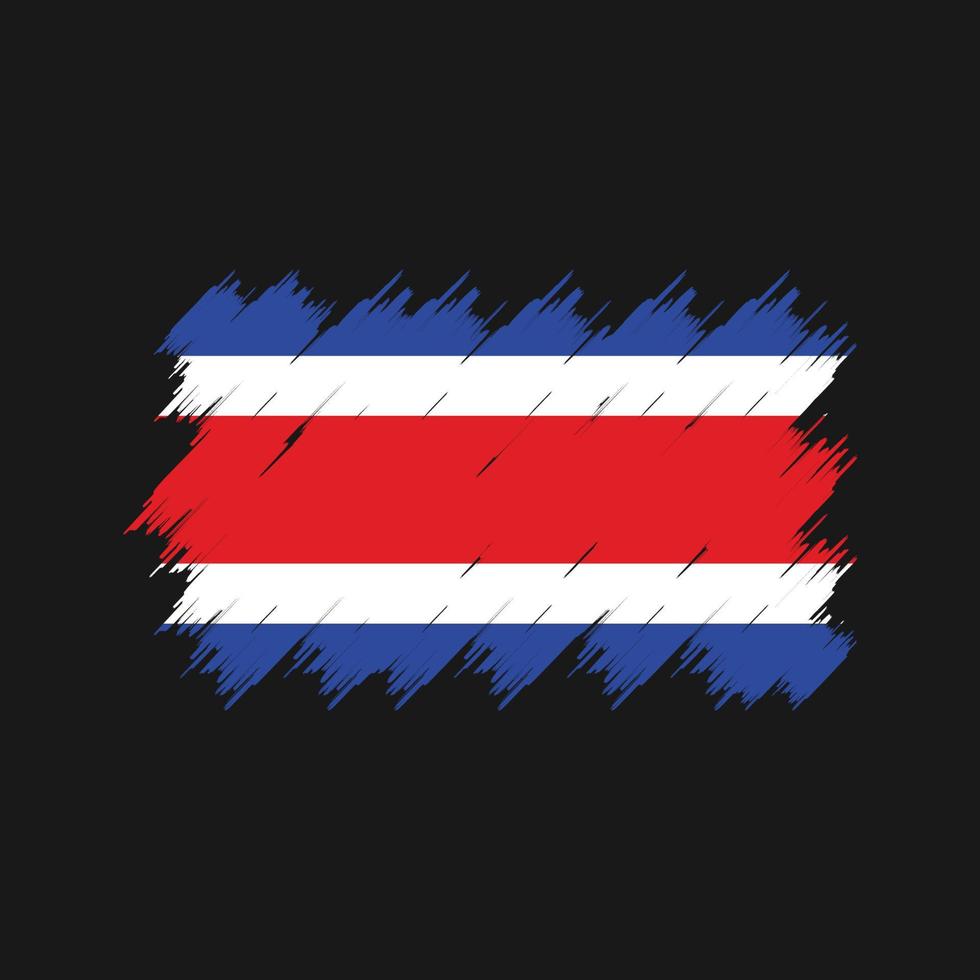 Bürste mit Costa-Rica-Flagge. Nationalflagge vektor