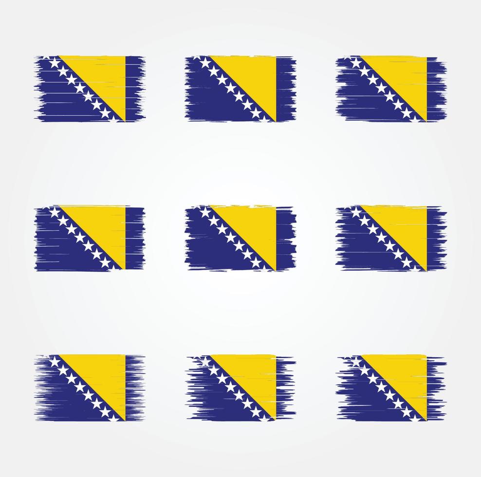 Flaggenbürste von Bosnien und Herzegowina. Nationalflagge vektor