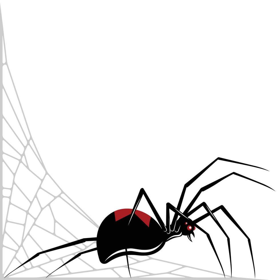 svart änka spindel vektordesign, spindel latrodectus mactans, spindeldjur med spindelnät vektor