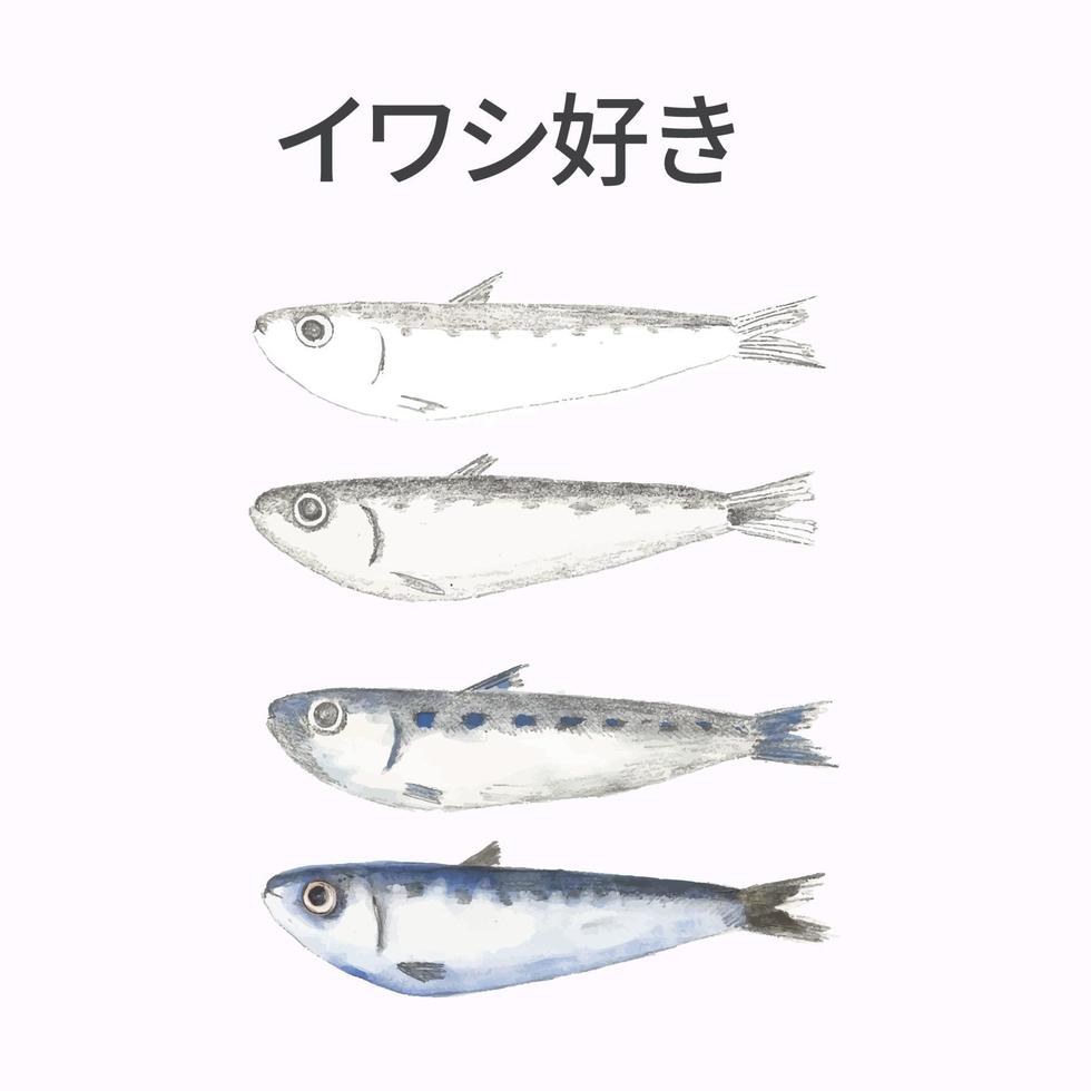 geschichtete pastellfarbene japanische Fischvektor-Koinobori und japanische Kanji-Buchstaben vektor