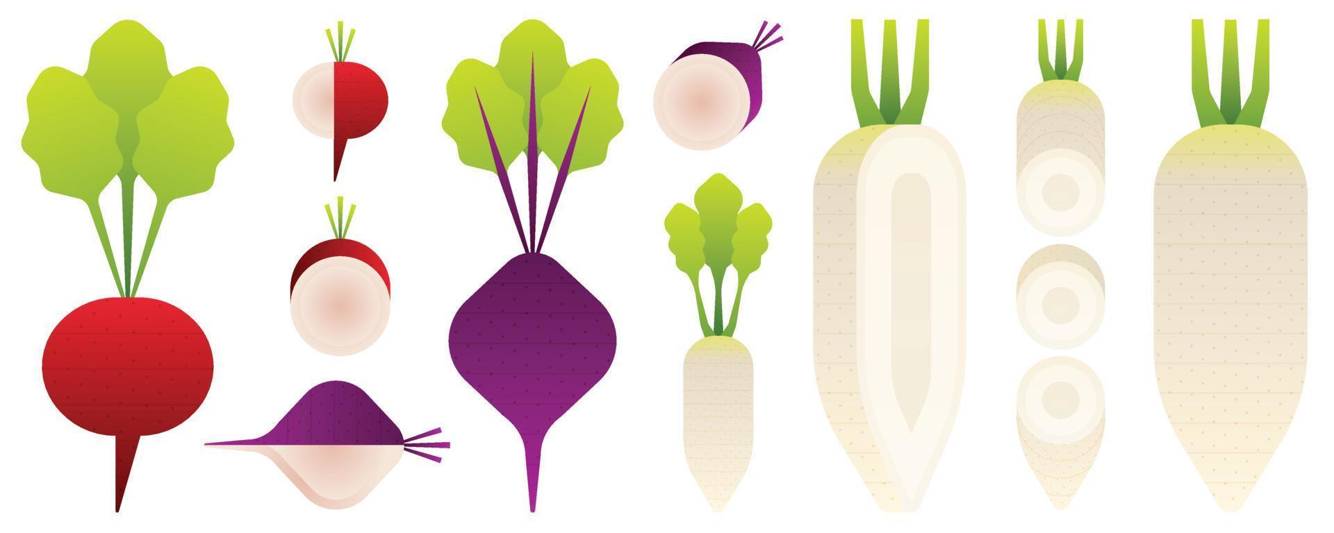 isoliertes Gemüse und Obst auf weißem Hintergrund. Vektor-Illustration. vektor