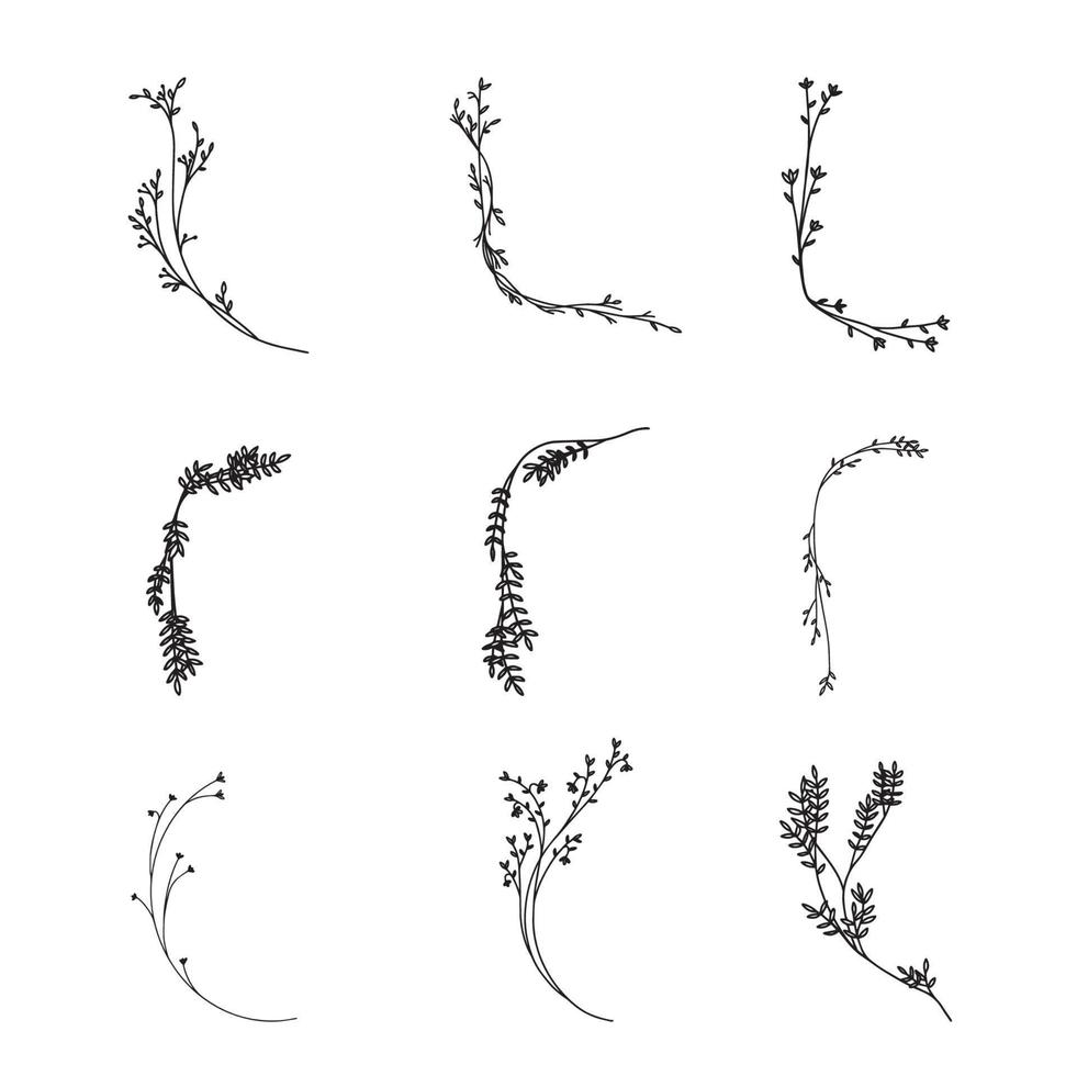 handritad uppsättning botaniska blad doodle vildblomma linjekonst vektor