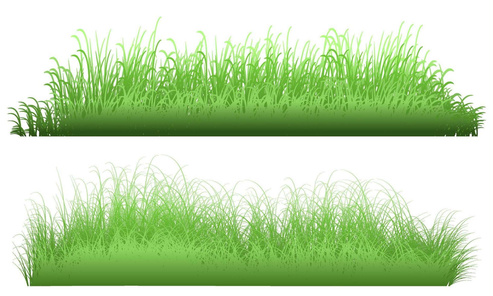 gräsfält vektor, gräsbevuxen fält vektor
