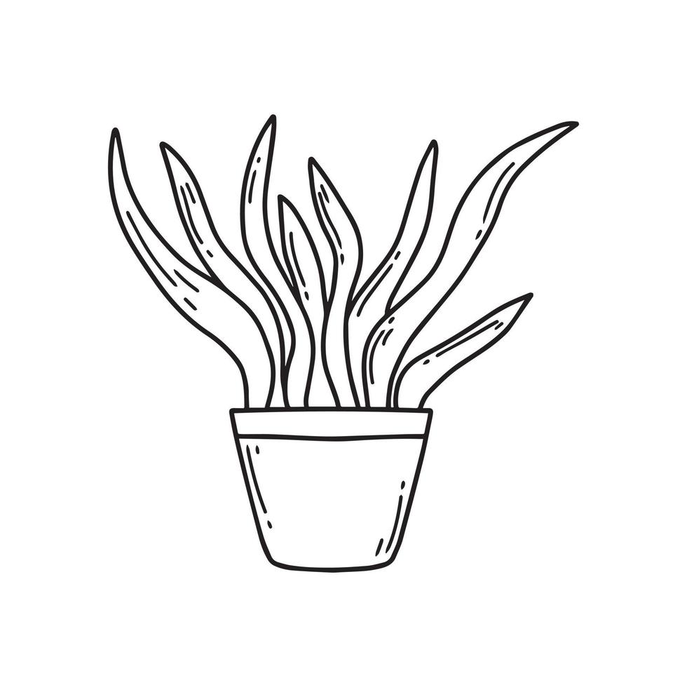 Zimmerpflanze in einem Topf. schöne Zimmerpflanze. eine schöne pflanze. Vektorillustration im Doodle-Stil. vektor