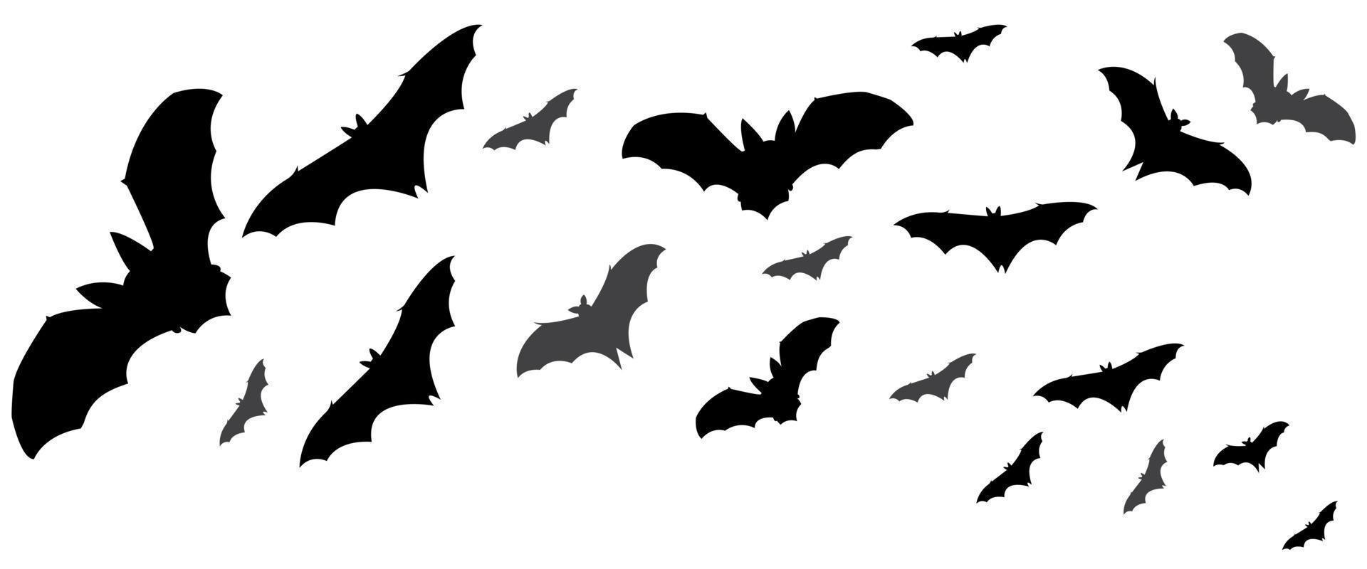 fladdermöss flyger. vektor vampyr fladdermus set isolerad på vit bakgrund, halloween läskiga läskiga djur på himlen horisontell vägavdelare