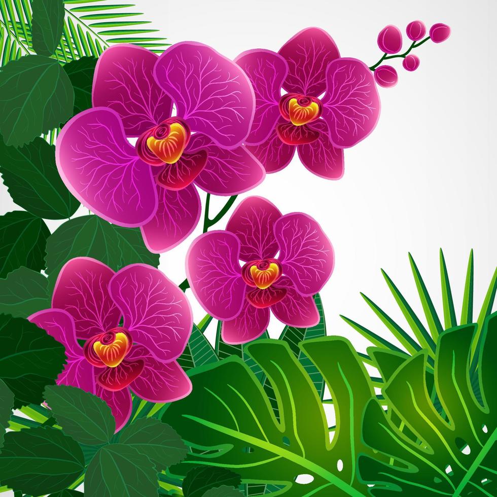 blommig design bakgrund. orkidéblommor. vektor