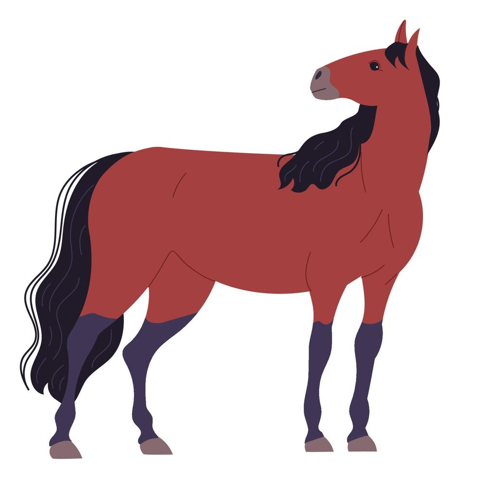 mörkbrun häst står med huvudet vänt åt sidan vektor