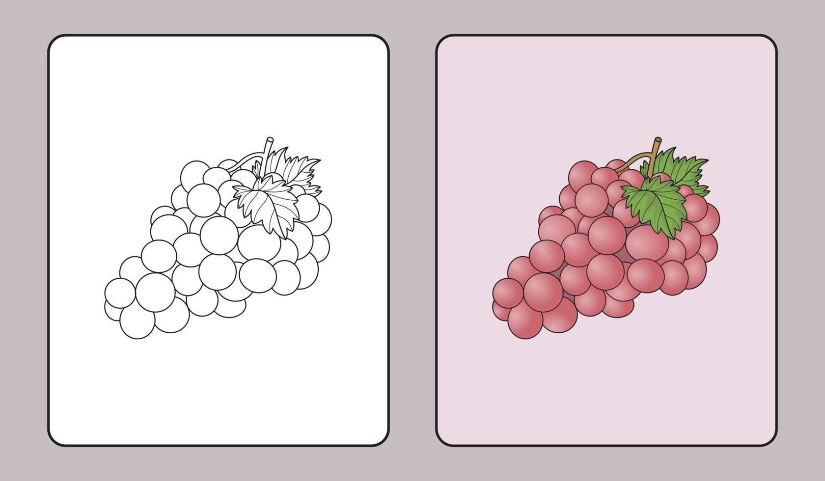 Weintrauben-Malbuch oder Lernseiten für Kinder vektor