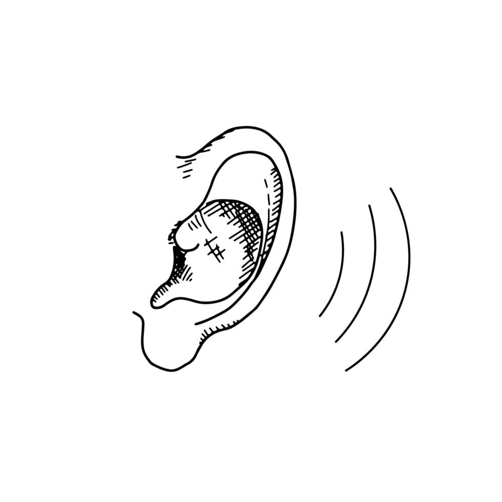 doodle mänskliga örat lyssnande ljud. handritad hörselsymbol. vektor illustration isolerad på vit bakgrund