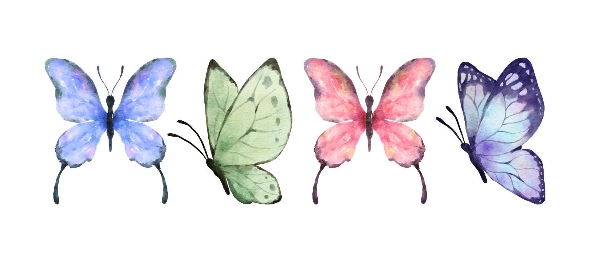 buntes Schmetterlingsaquarell lokalisiert auf weißem Hintergrund. lila, grüner, rosa und blauer Schmetterling. frühling tier vektor illustration