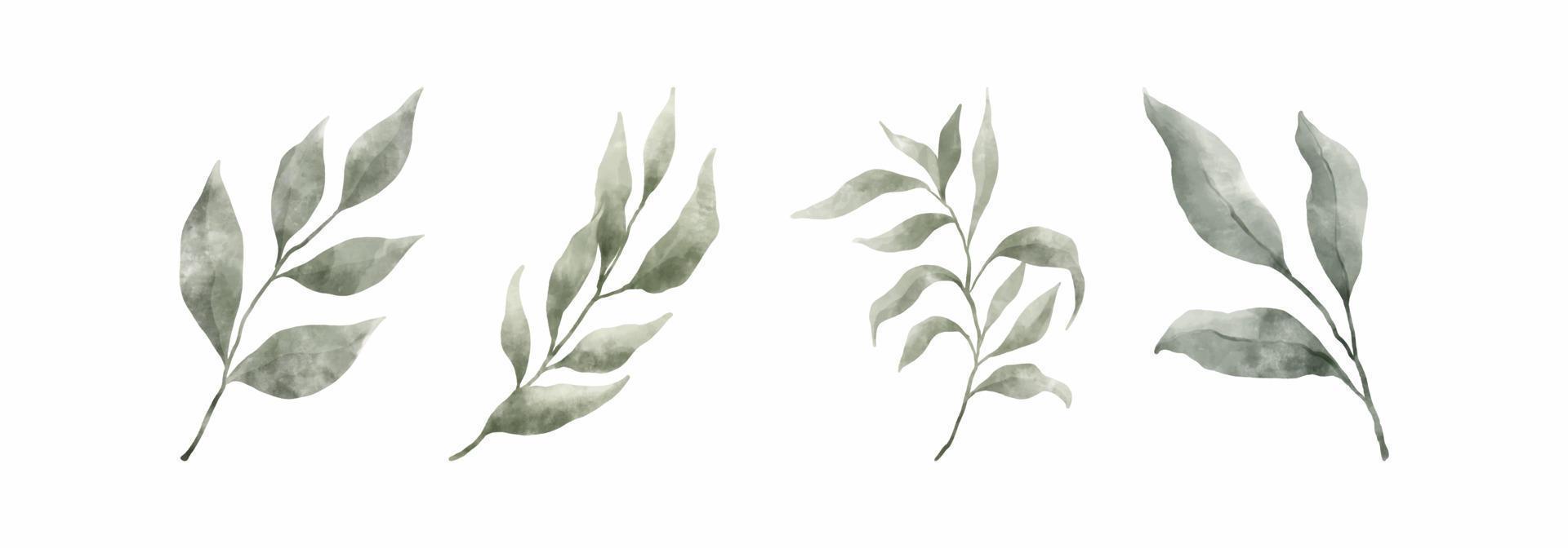 gröna blad akvarell handritad. uppsättning gröna blad i akvarell stil isolerad på vit bakgrund. dekorativ skönhet elegant illustration samling för design vektor