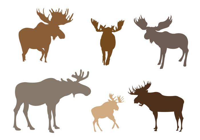 Set of Moose Silhouette In Vector Format