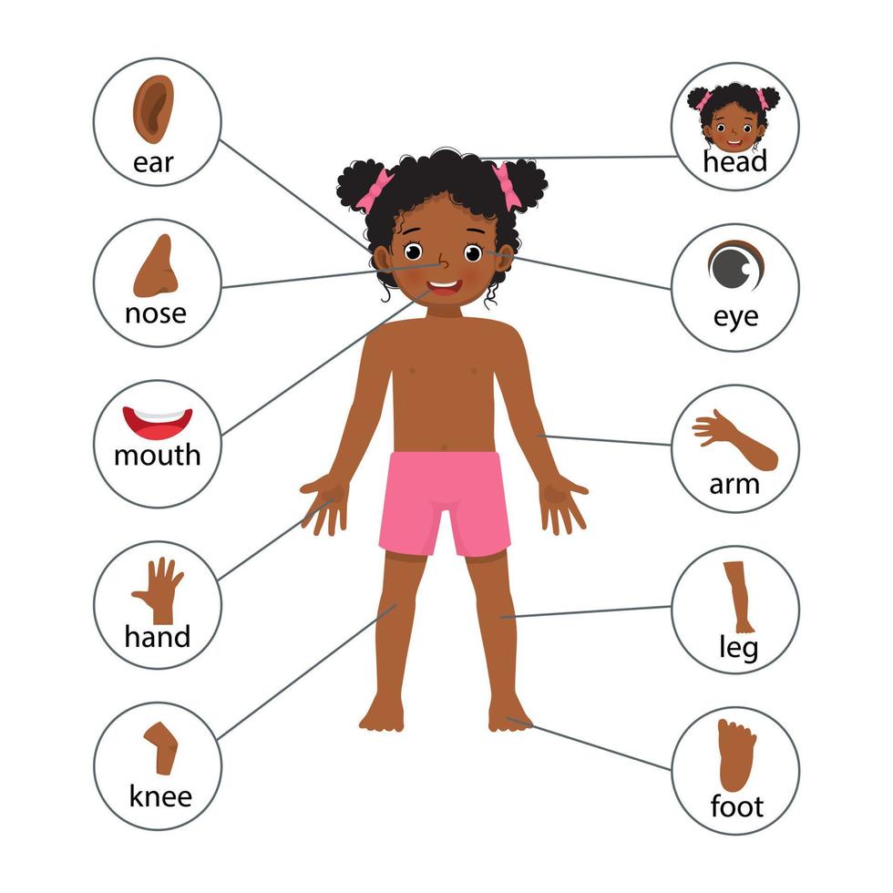 kleines afrikanisches mädchenillustrationsplakat von menschlichen körperteilen mit diagrammtextetikettendiagramm für bildungszwecke vektor