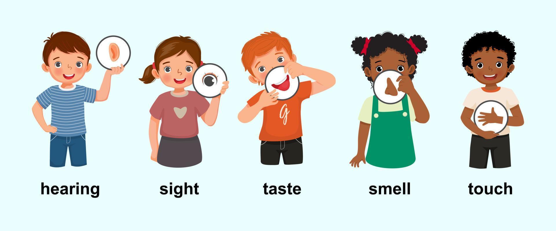 Süße kleine Kinder, Jungen und Mädchen, die fünf Sinnesplakate mit Symbolen zeigen, die Hören, Sehen, Schmecken, Riechen, Berühren als menschliche Körperteile darstellen vektor