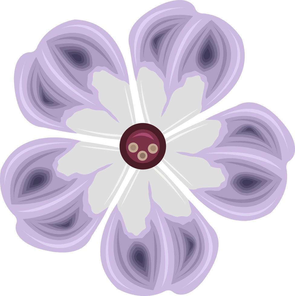 Phlox-Blumenvektorillustration für Grafikdesign und dekoratives Element vektor