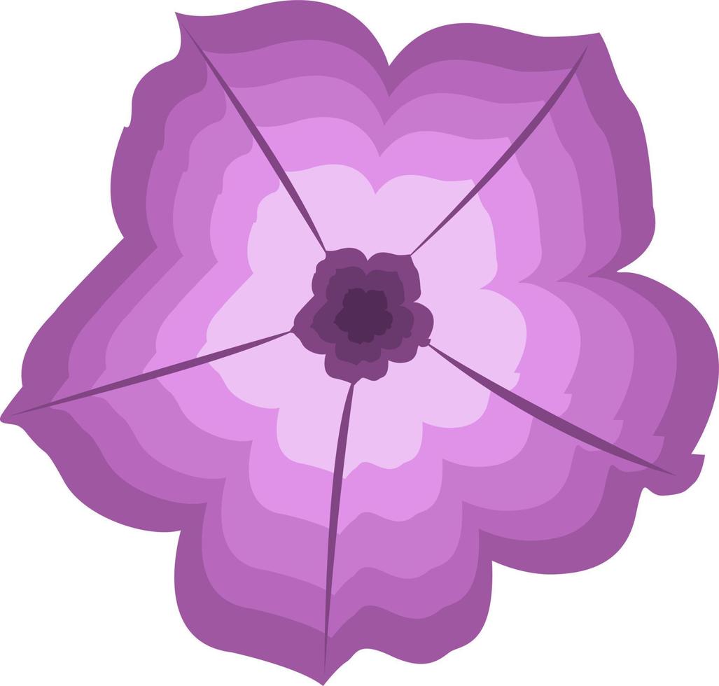 Petunienblumen-Vektorillustration für Grafikdesign und dekoratives Element vektor