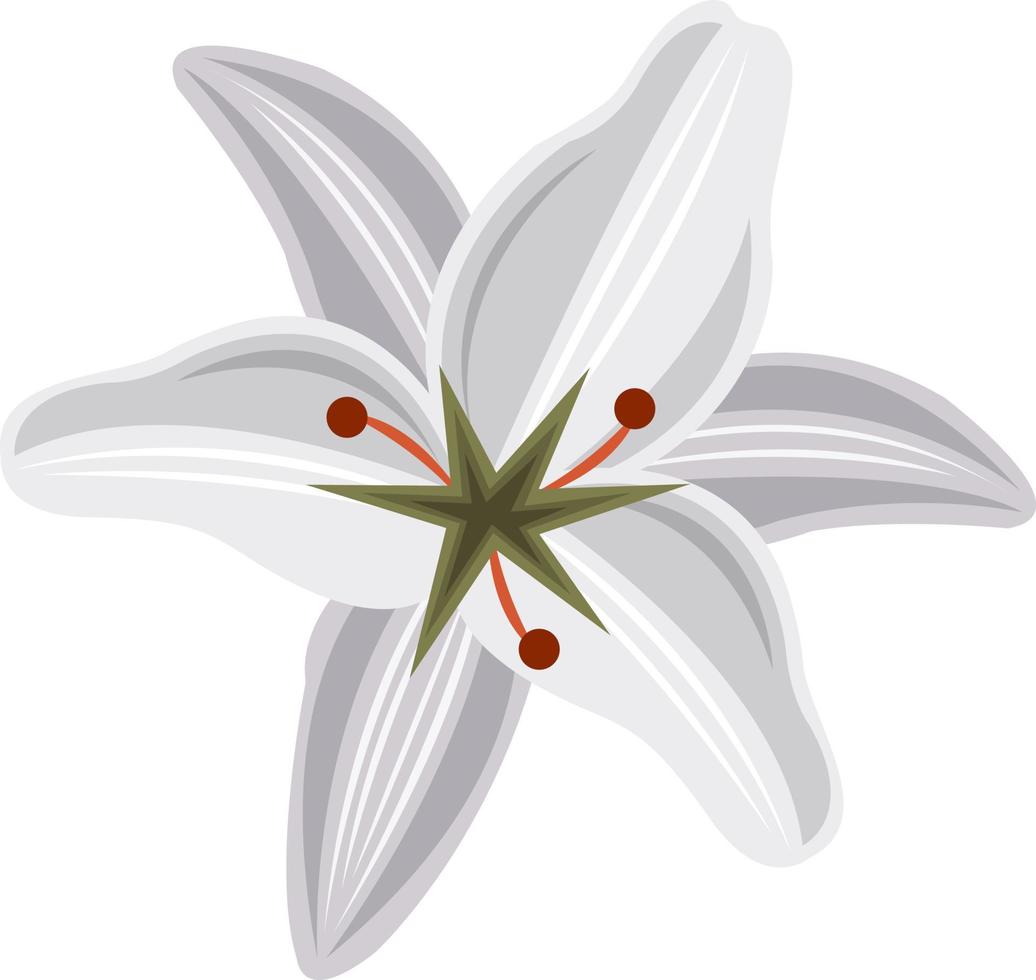 Lilienblumenvektorillustration für Grafikdesign und dekoratives Element vektor