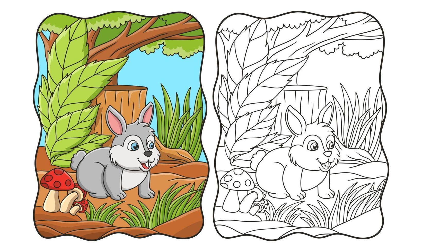 karikaturillustration ein kaninchen, das im wald spaziert und nach einem lebensmittelbuch oder einer seite für kinder sucht vektor