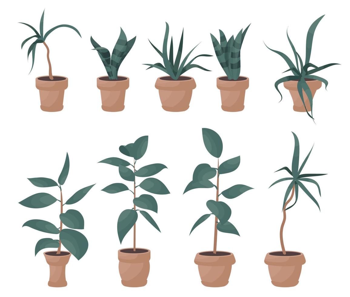 krukväxter i krukor, kontorsblommor, tecknade tropiska löv. grön ikonuppsättning av palm, philodendron, ficus, sansevieria, suckulent. trädgård växt vektor illustration.