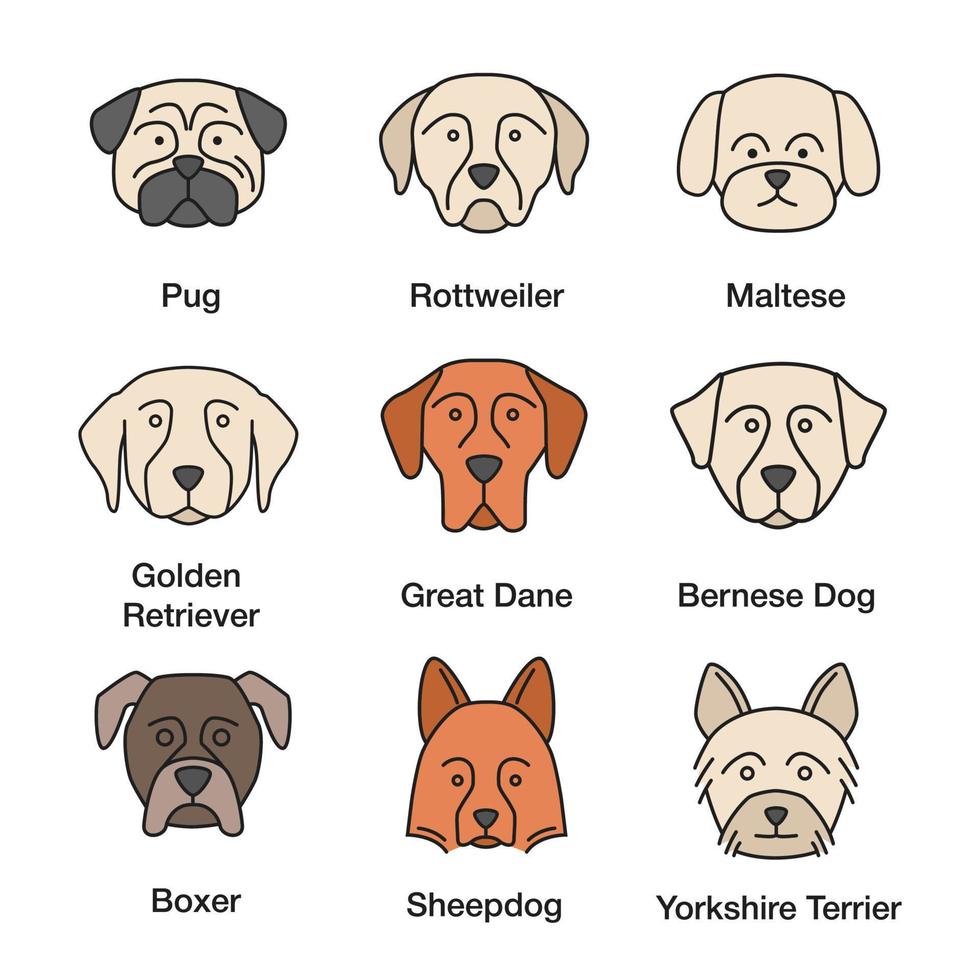 Hunderassen Farbsymbole gesetzt. Mops, Rottweiler, Malteser, Golden Retriever, Deutsche Dogge, Berner Sennenhund, Shetland Sheepdog, Boxer, Yorkshire Terrier. isolierte Vektorgrafiken vektor