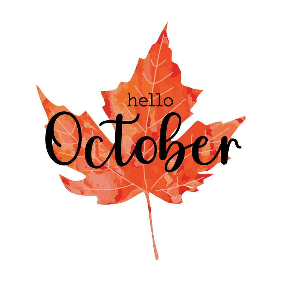 vacker kalligrafi bokstäver text - hej oktober. ljus orange röd akvarell konstnärliga lönnlöv vektorillustration isolerad på vit bakgrund. hösten hösten välkomnande hälsning affisch design. vektor