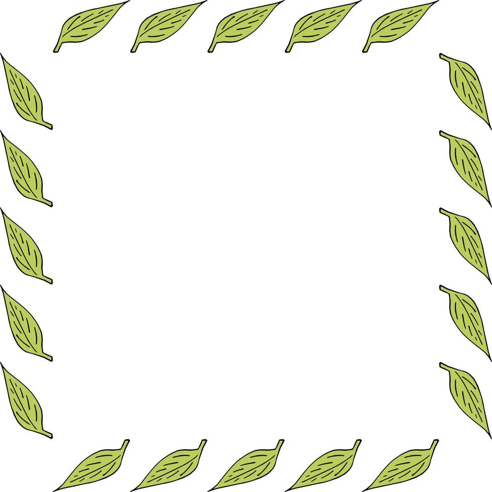 quadratischer Rahmen mit grünen Blättern auf weißem Hintergrund. Vektorbild. vektor