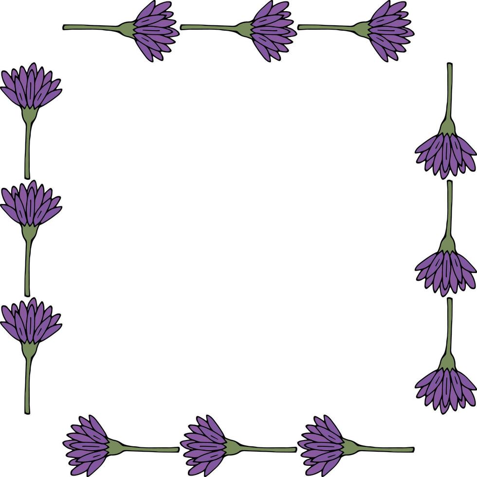 quadratischer Rahmen mit horizontalen violetten Blumen auf weißem Hintergrund. Vektorbild. vektor