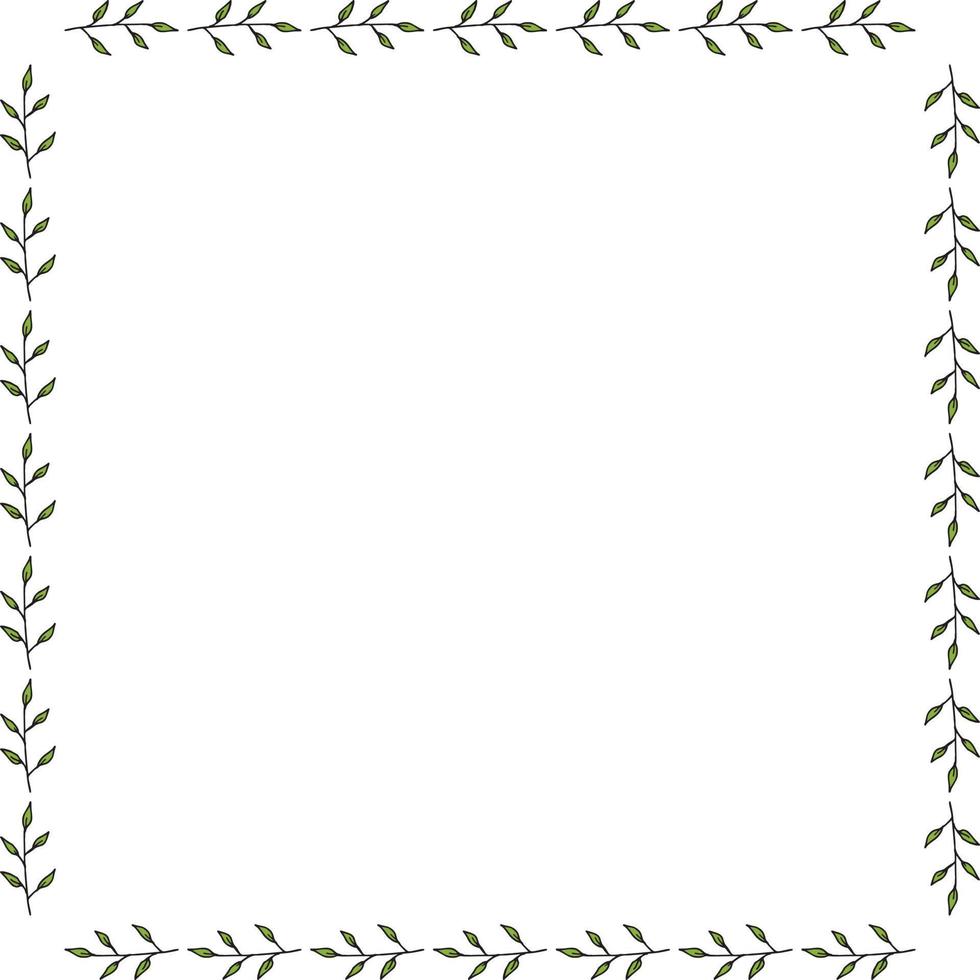 fyrkantig ram gjord av gröna grenar med löv. vektor på vitt för din design