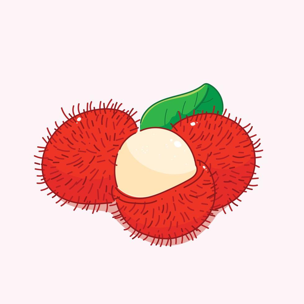 rambutan frukt ekologisk ikon tecken eller symbol handritad tecknad illustration vektor