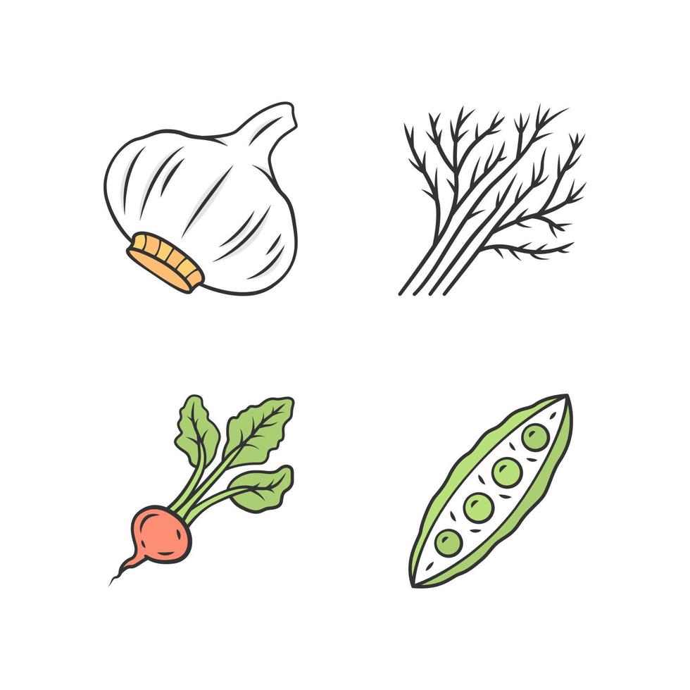 Gemüse Farbsymbole gesetzt. Knoblauch, Dill, Rüben, Erbsen. Vitamin. Diät. gesunde Ernährungszutat. landwirtschaftliche Anlage. Gemüsefarm. vegetarisches Essen. isolierte Vektorgrafiken vektor