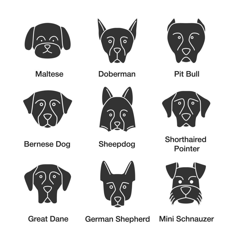 Hunderassen-Glyphen-Symbole gesetzt. Malteser, Dobermann, Pitbull, Berner Hund, Schäferhund, Kurzhaar, Deutsche Dogge, Deutscher Schäferhund, Minischnauzer. Silhouettensymbole. Vektor isolierte Illustration