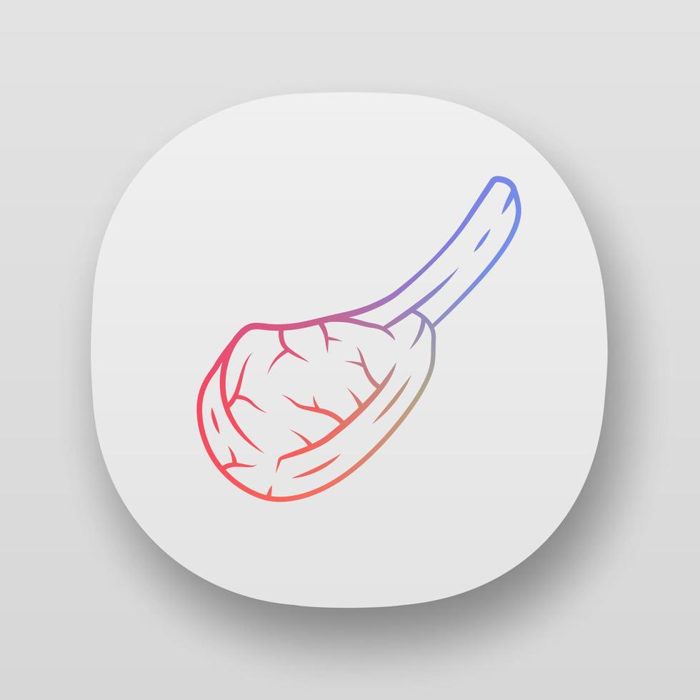 Tomahawk-Steak-App-Symbol. Metzger Fleisch. Fleischproduktion und -verkauf. Beefsteak. Schweinerippchen. Proteinquelle. Metzgerei. ui ux-Benutzeroberfläche. Web, mobile Anwendungen. Vektor isolierte Illustrationen