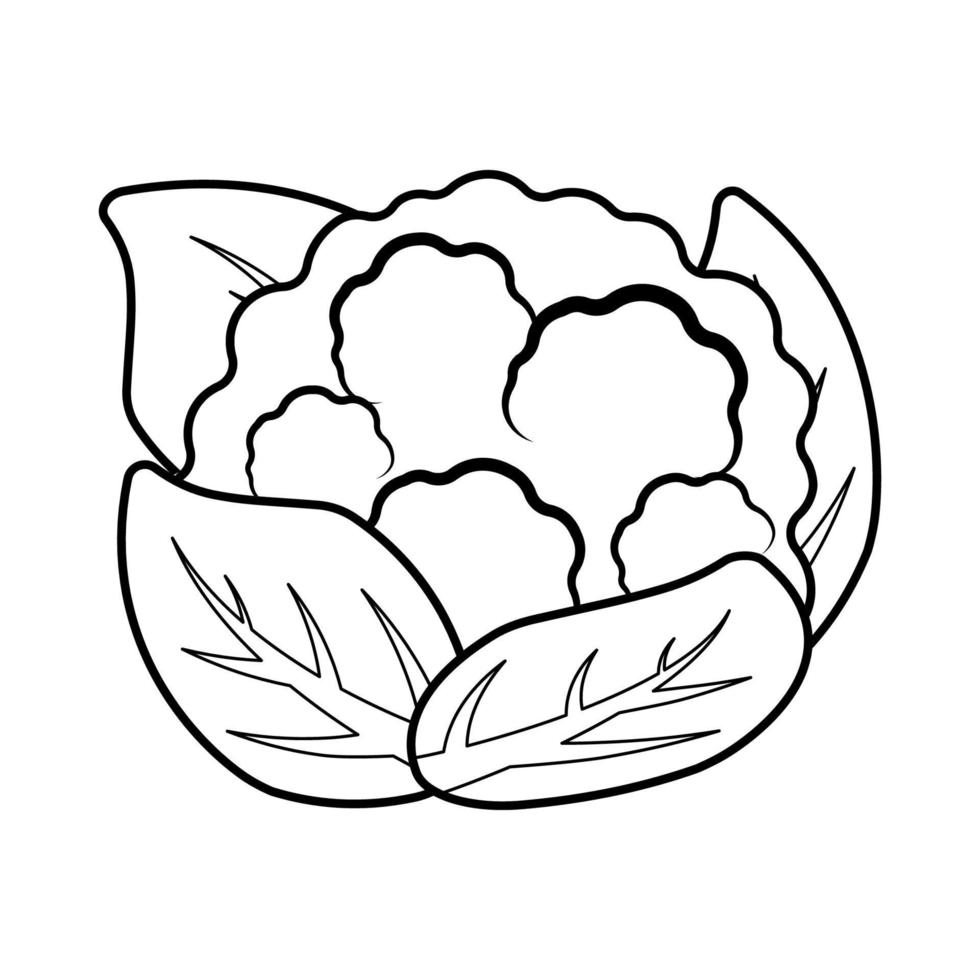 Schwarzer Umriss Blumenkohl Vektor Gemüse Malvorlagen Vektor Illustration auf weißem Hintergrund