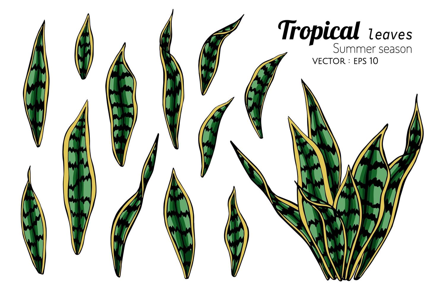 tropiska vilda löv uppsättning vektor