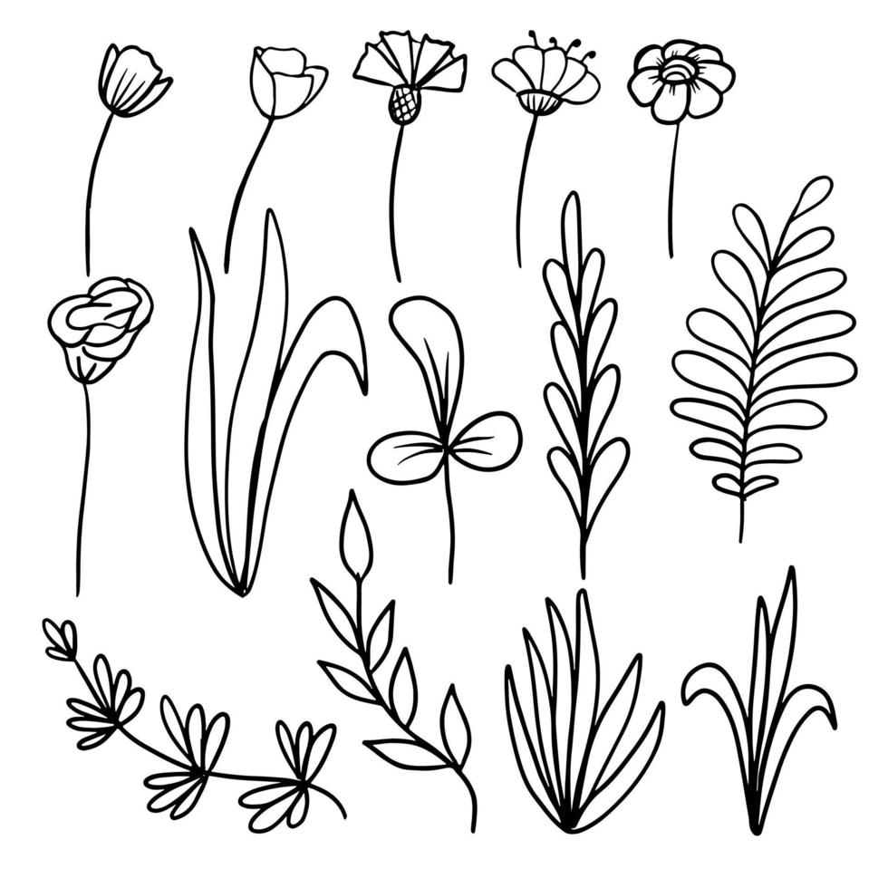 botanischer satz, handgezeichnete blumen und pflanzen im linienstil. florale Elemente für Designprojekte. Vektor-Illustration. vektor