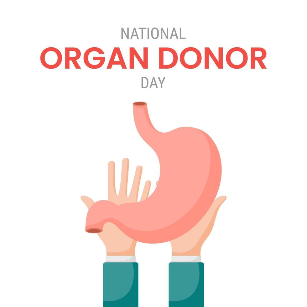 nationella organdonatordagen med mage vektor