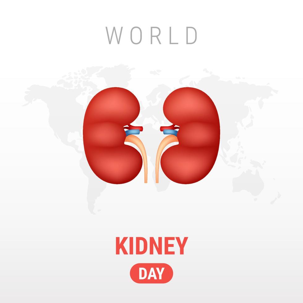 världens njure dag på vit bakgrund vektor