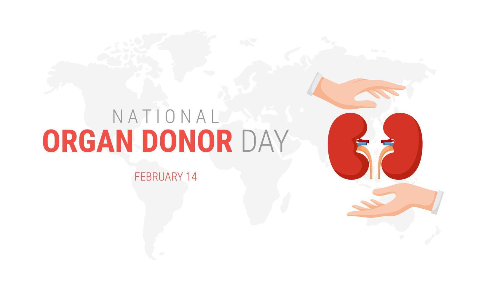 nationella organdonatordagen med njurar vektor