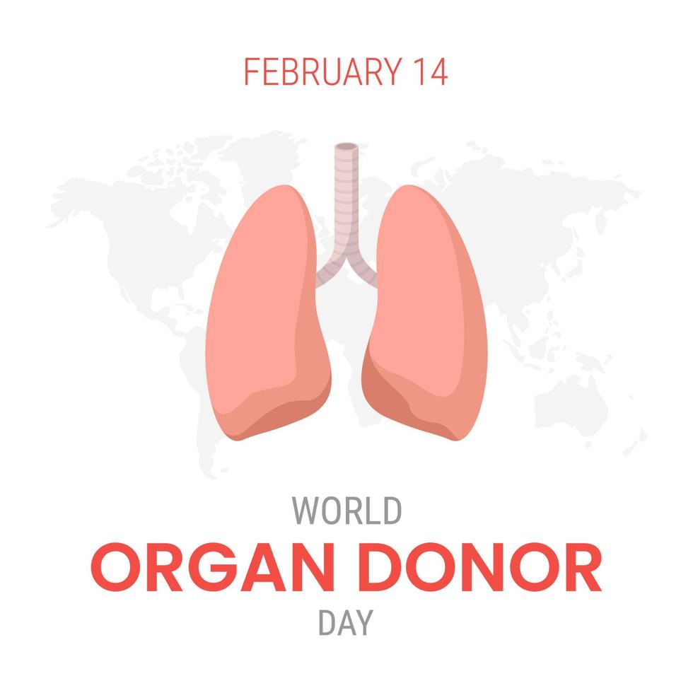 nationaler organspendetag mit lunge vektor