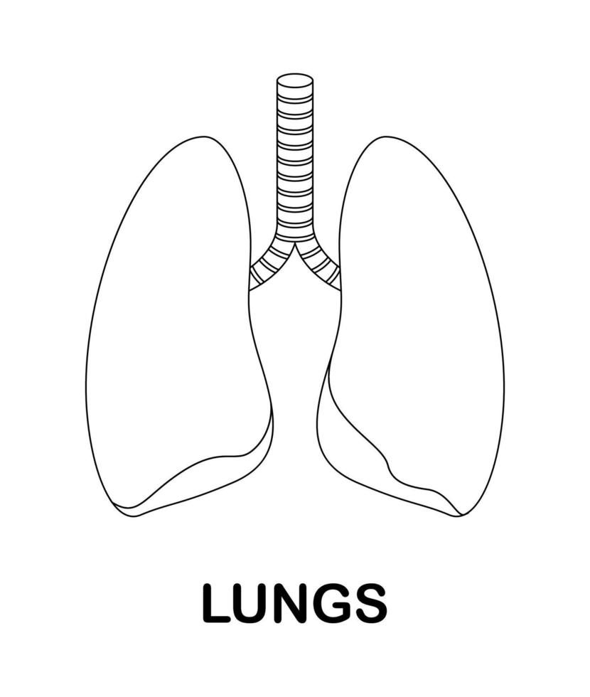 Malvorlage mit Lunge für Kinder vektor
