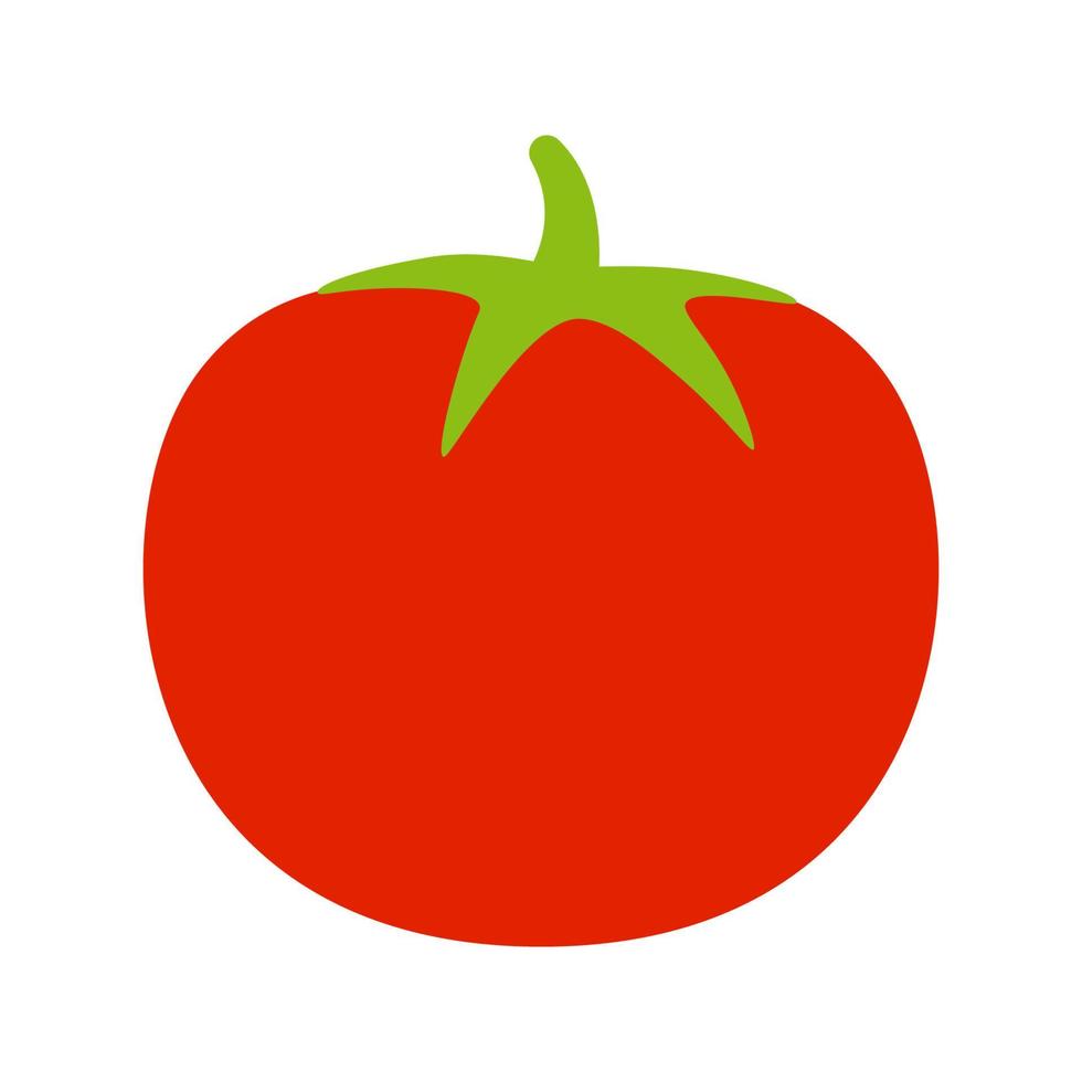 Tomate lokalisiert auf weißem Hintergrund vektor