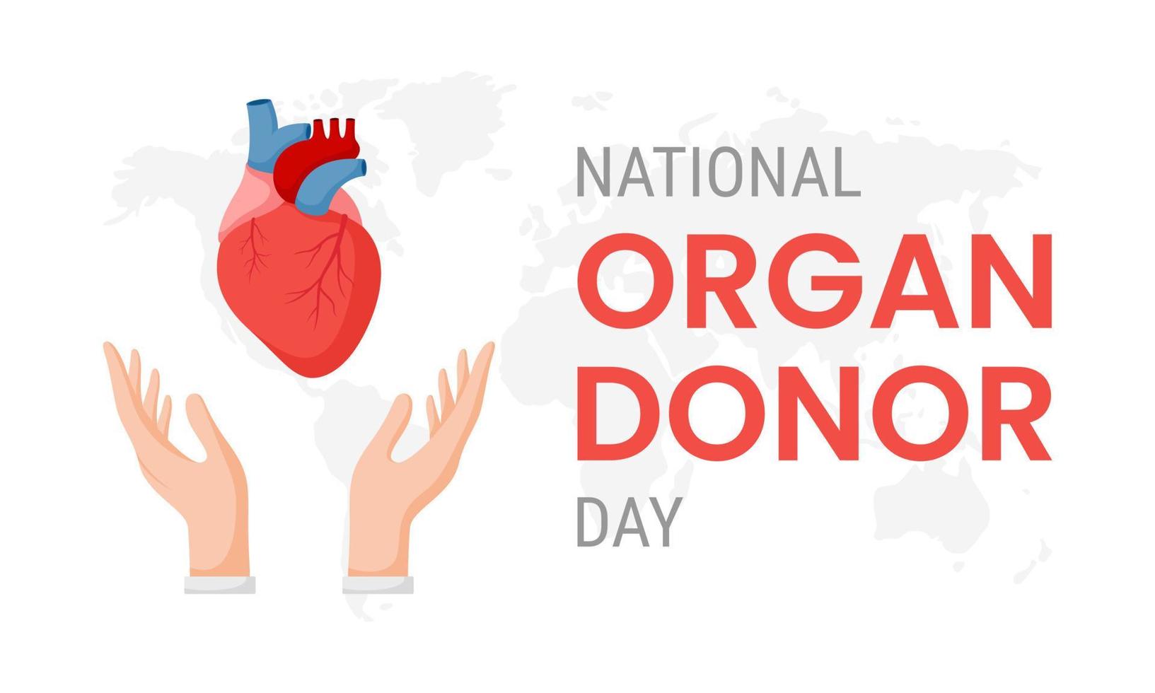 nationella organdonatordagen med mänskligt hjärta vektor