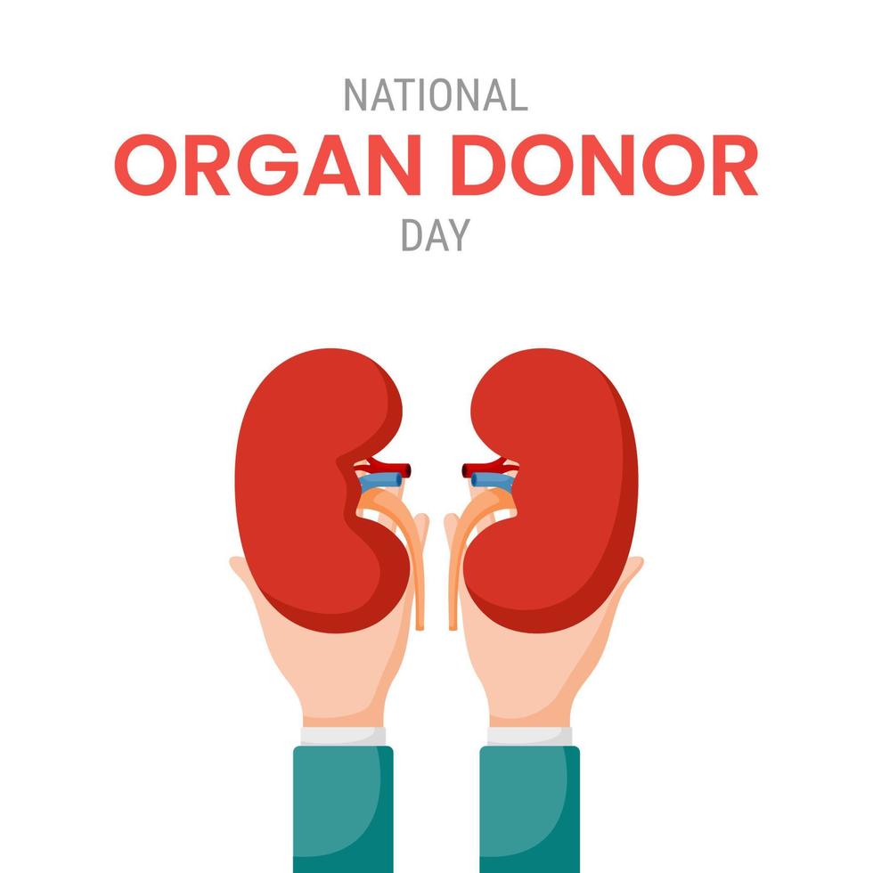 nationella organdonatordagen med njurar vektor