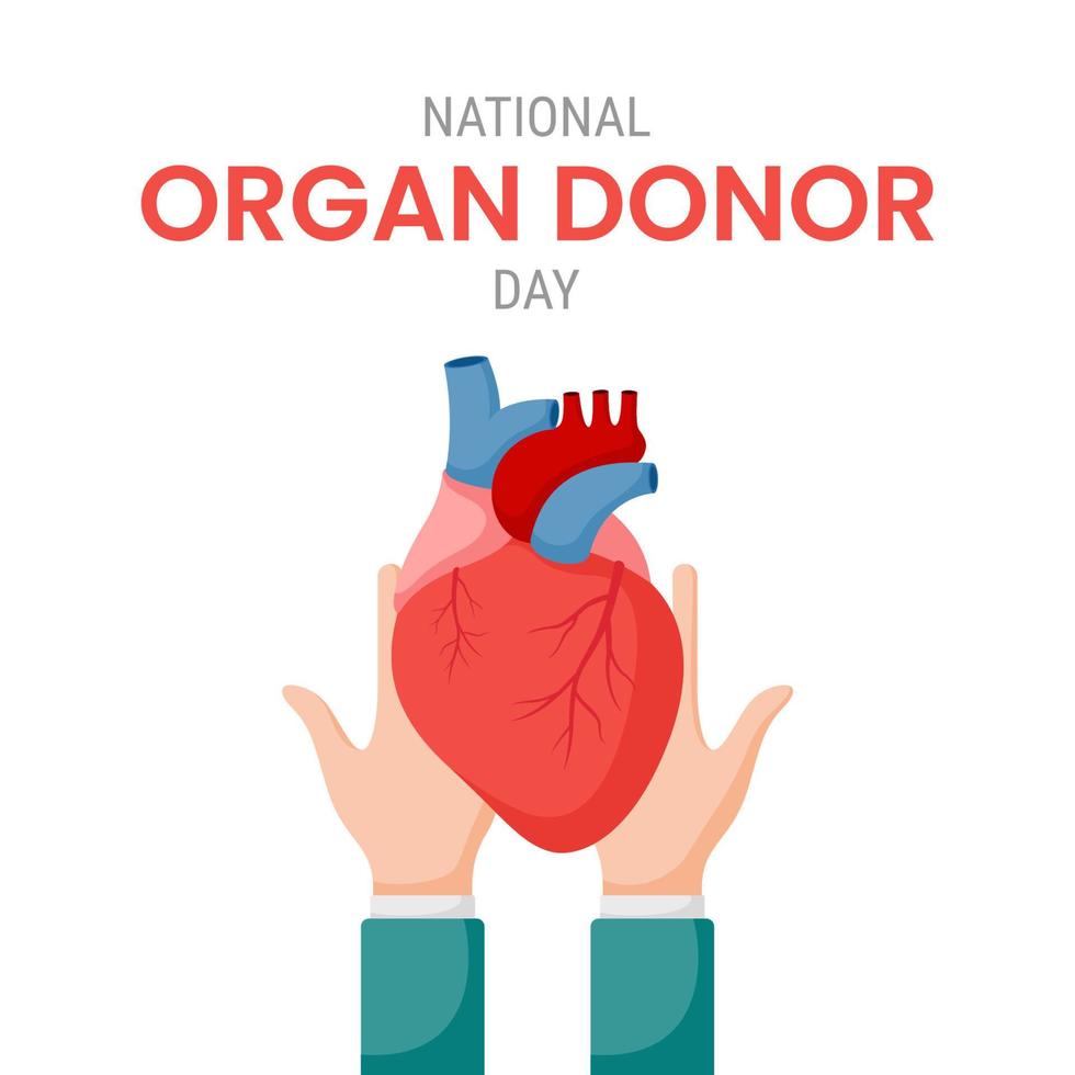 nationella organdonatordagen med mänskligt hjärta vektor
