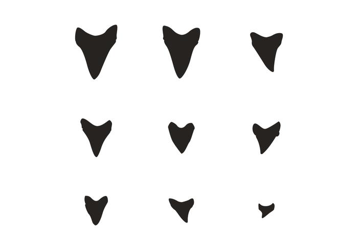 haifisch zähne silhouette vektor  download kostenlos