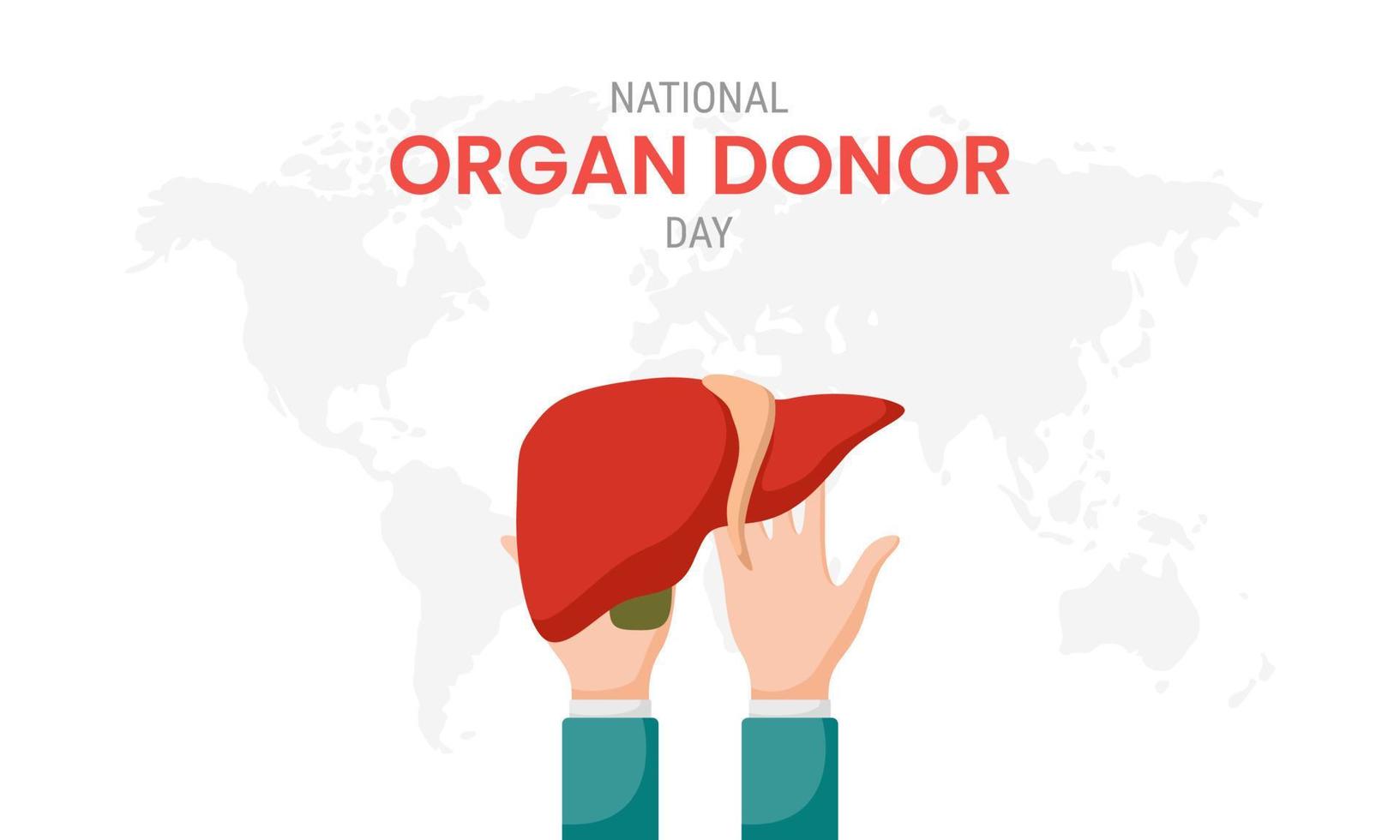 nationella organdonatordagen med lever vektor